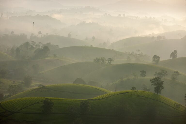 Traveling for Sustainable Fashion Workshops: Learning About Eco-Friendly Fabrics and Ethical Fashion Practices