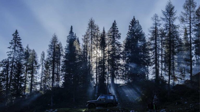 How Can I Use 11Xplay Invite Code For Extra Rewards?