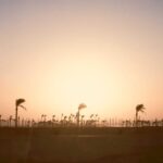 How To Register For Reddy Book Club Account Online?