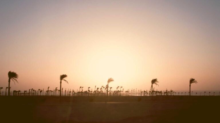 How To Register For Reddy Book Club Account Online?